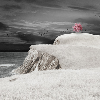 3D render